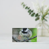 黒によっておおわれる《鳥》アメリカゴガラの鳥 名刺 (スタンド正面)