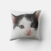 黒によって斑点を付けられる子ネコ クッション (裏面)