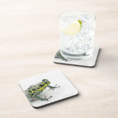 黒によって斑点を付けられる緑の毒投げ矢のカエル(Ranitomeya コースター (右側)