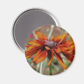 黒によって注目されるスーザンの花の写真撮影の磁石 マグネット (正面/裏面)