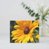 黒によって注目されるスーザンの花の写真撮影の郵便はがき ポストカード (スタンド正面)