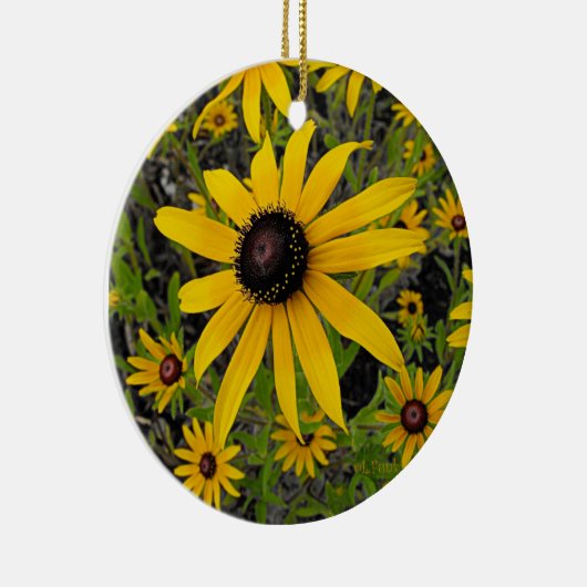 黒によって注目されるSusans セラミックオーナメント (右)