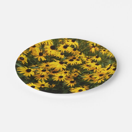 黒によってSusansの注目される紙皿の分野 ペーパープレート (アングル)