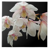 黒にクリームとピンクのラン タイル (正面)