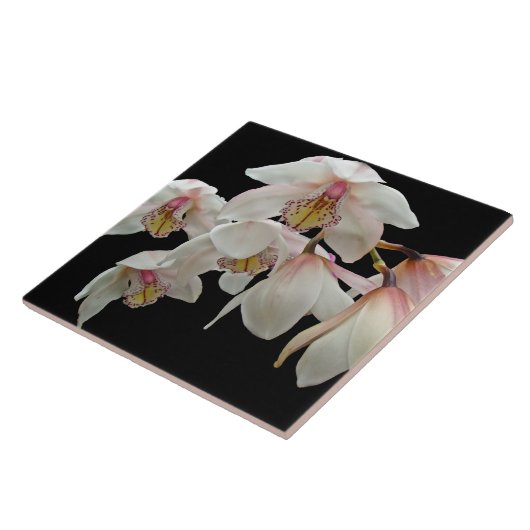 黒にクリームとピンクのラン タイル (側面)