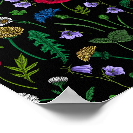 黒に咲く野花 ポスター (角)