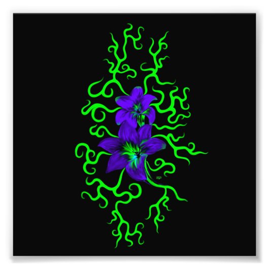 黒に紫のユリの花 フォトプリント            (正面)