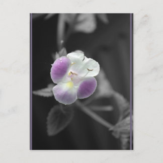 黒に紫 ポストカード