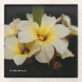 黒に美しいサテンの花 ガラスコースター (正面)