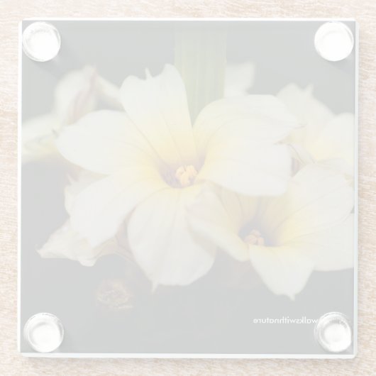 黒に美しいサテンの花 ガラスコースター (裏面)