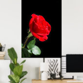 黒に赤いバラ ポスター (ホームオフィス)