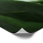 黒に赤いバラ ポスター (角)