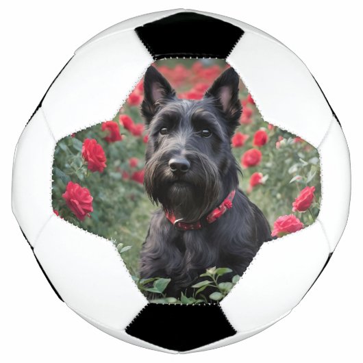 黒のスコッチテリアのための赤いバラ サッカーボール (正面)