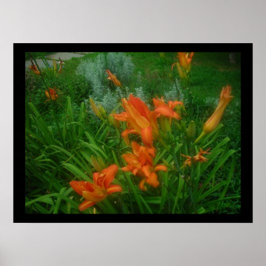 黒のデイリー ポスター (正面)