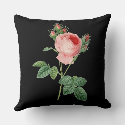 黒のピンクのバラのヴィンテージの植物のイラストレーション クッション (裏面)