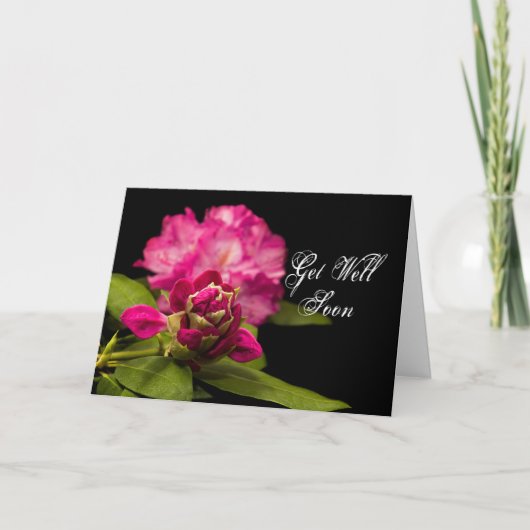 黒の井戸の-シャクナゲをすぐに得て下さい カード (正面)