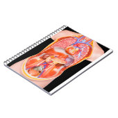 黒の内臓が付いている人間の胴モデル ノートブック (左側)