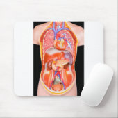黒の内臓が付いている人間の胴モデル マウスパッド (マウス)