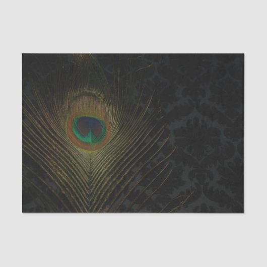 黒の壁ビクトリアン紙とピーコック 薄葉紙 (正面)