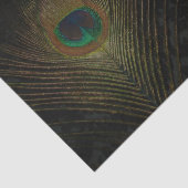 黒の壁ビクトリアン紙とピーコック 薄葉紙 (詳細)