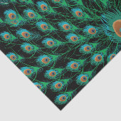 黒の孔雀の羽を持つイラストレーション 薄葉紙 (詳細)