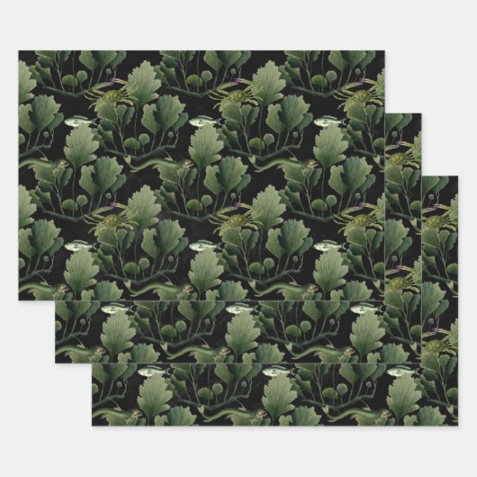 黒の海草と魚 ラッピングペーパーシート (セット)