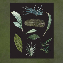 黒の濃い植物離れの植物 ポスター