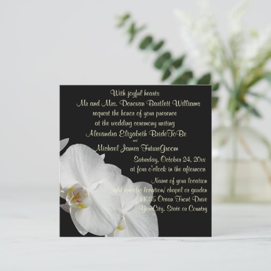 黒の白い蘭 招待状 (スタンド正面)