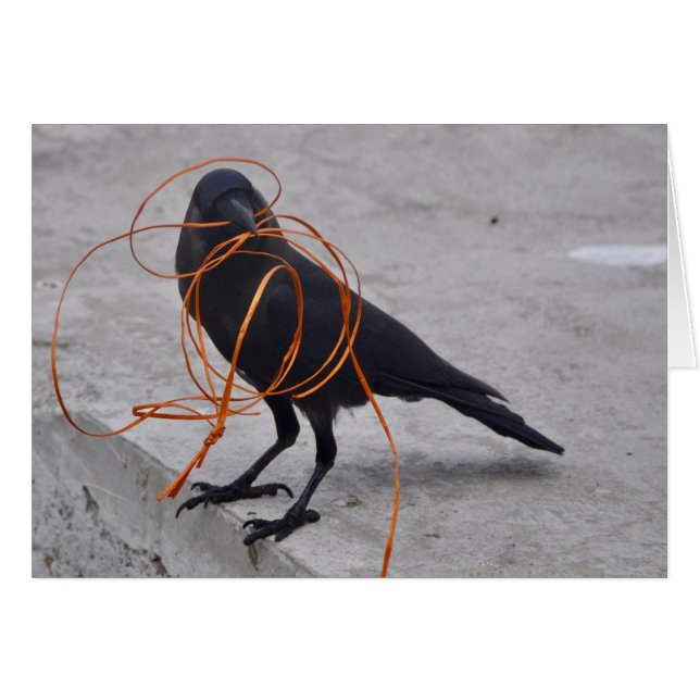 黒の盗人 (正面横)