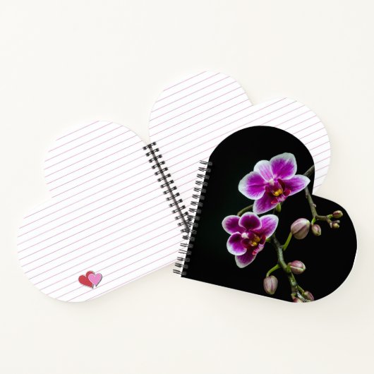 黒の穏やかな上に蘭のピンクの白淡い色の色 ノートブック (内部)