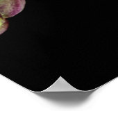 黒の穏やかな上に蘭のピンクの白淡い色の色 ポスター (角)