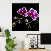 黒の穏やかな上に蘭のピンクの白淡い色の色 ポスター (ホームオフィス)