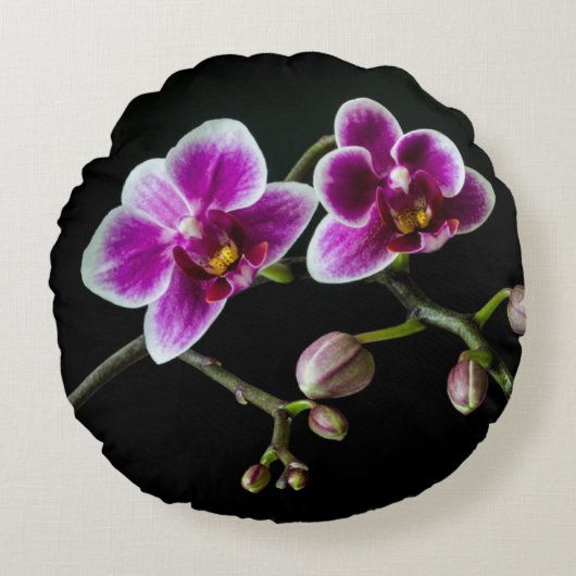 黒の穏やかな上に蘭のピンクの白淡い色の色 ラウンドクッション (正面)