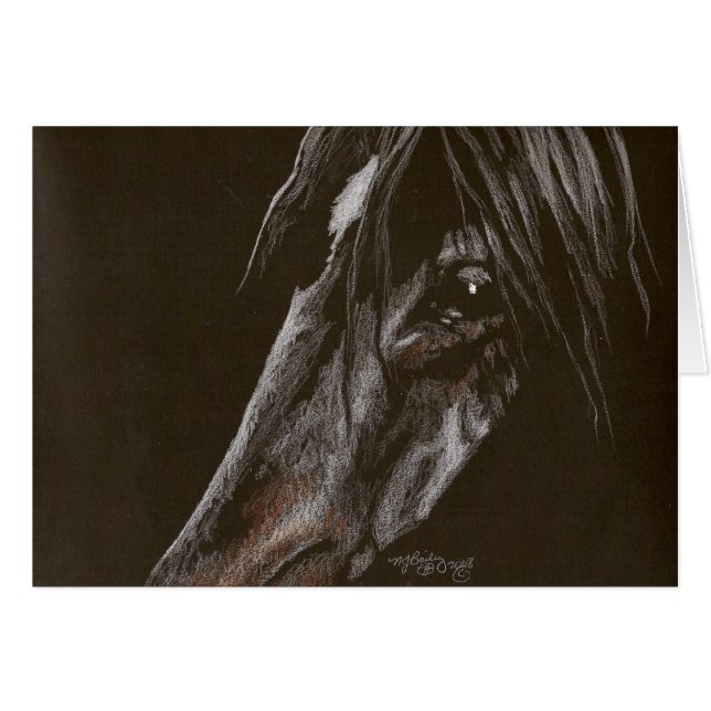 黒の穴馬 (正面横)