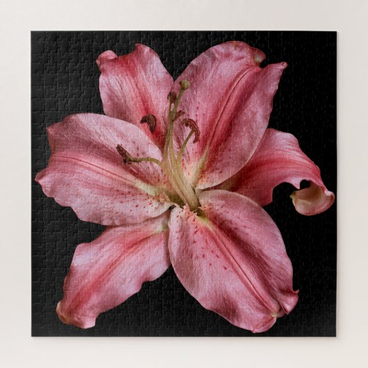 黒の背景に映えるエレガントなユリのコレクション ジグソーパズル (縦)