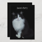 黒の背景に誕生日パーティーの猫 招待状 (正面/裏面)