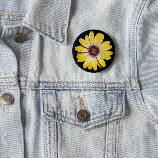 黒の背景に黄色いアフリカギクの花 缶バッジ (インサイチュ)