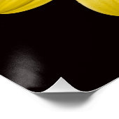 黒の背景に黄色いアフリカンデイジー ポスター (コーナー)