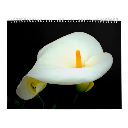 黒の花柄 カレンダー (カバー)
