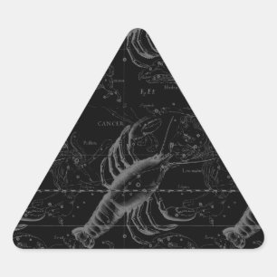 黒の蟹座の星座Hevelius 1690年 三角形シール