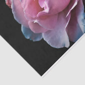黒の豪華なピンクのバラ 薄葉紙 (詳細)