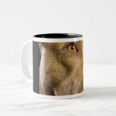 黒の赤い鼻のピットブルのポートレート ツートーンマグカップ (正面左)