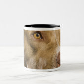 黒の赤い鼻のピットブルのポートレート ツートーンマグカップ (中央)