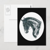 黒の馬術用馬の肖像 ポストカード (正面/裏面)