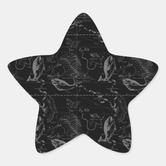 黒の魚類の星座Hevelius 1690年 星シール (正面)