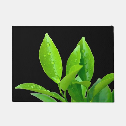 黒のWaterdropsの新しい緑の葉 ドアマット (正面)