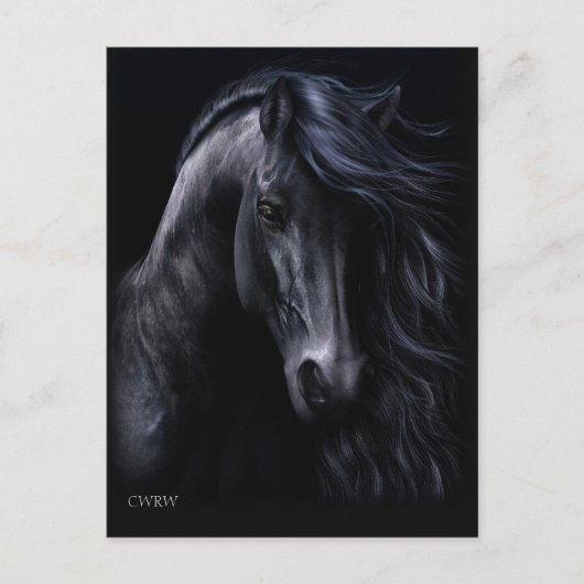 黒はがき ポストカード (正面)