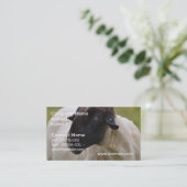 黒はヒツジに直面しました 名刺 (スタンド正面)