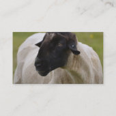 黒はヒツジに直面しました 名刺 (裏面)