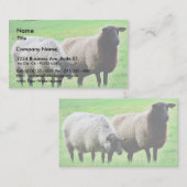 黒はヒツジの先頭に立ちました 名刺 (正面/裏面)